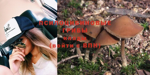 ГАЛЛЮЦИНОГЕННЫЕ ГРИБЫ Арсеньев