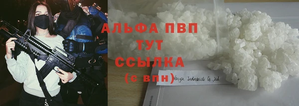 PSILOCYBIN Баксан