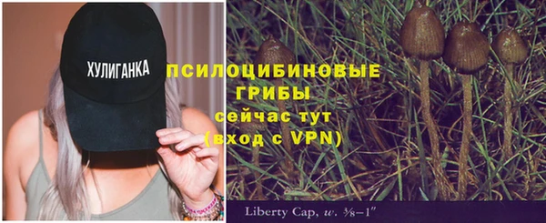 мескалин Чегем