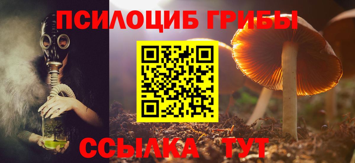 Псилоцибиновые грибы прущие грибы  Вход с VPN  продажа наркотиков  Псилоцибиновые грибы Magic Shrooms  Коломна 